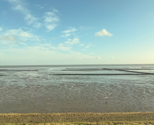 Zugfahrt über Hindenburgdamm