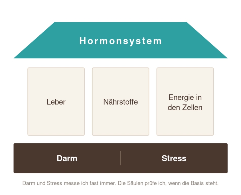 Modell der Basistherapie in den Wechseljahren: Fundament aus Darm und Stress, Säulen aus Leber, Nährstoffen und Zellenergie, darauf das Hormonsystem.